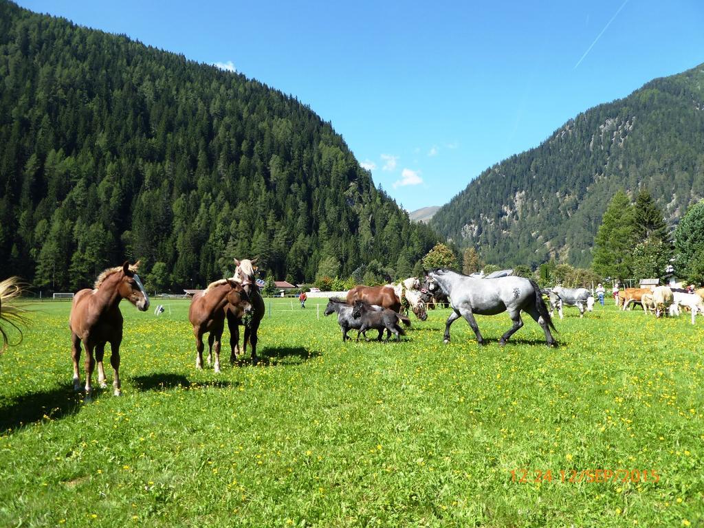ホテル Gaestehaus Truskaller マルニッツ エクステリア 写真