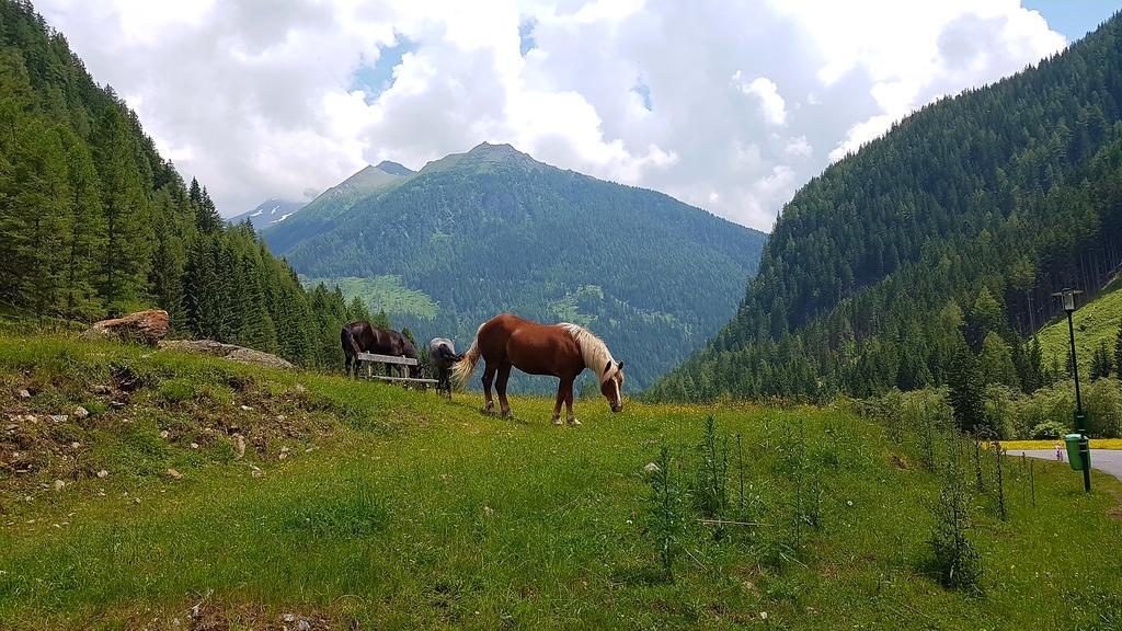 ホテル Gaestehaus Truskaller マルニッツ エクステリア 写真